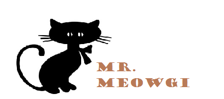 Mr. Meowgi